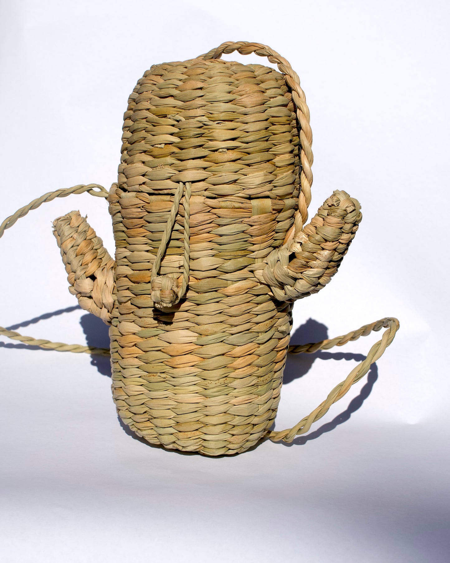 Handwoven Cactus Purse