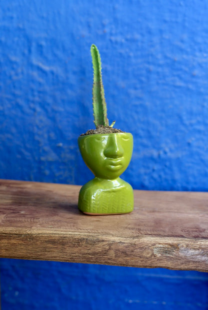 Verde Face Planter