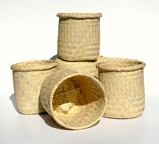 Handwoven Natural Palm Basket-Planter with Rim