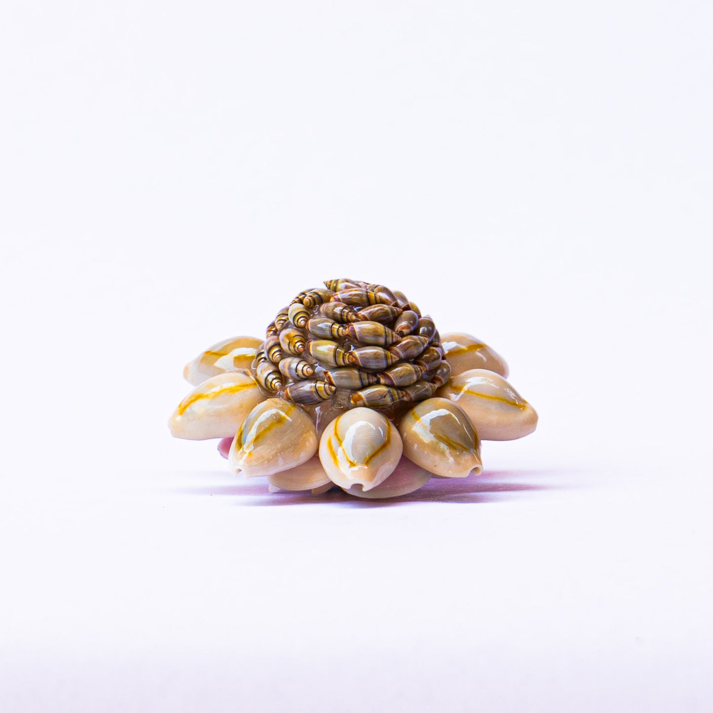 Small Handmade Shell Brooch