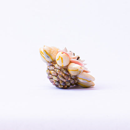 Small Handmade Shell Brooch