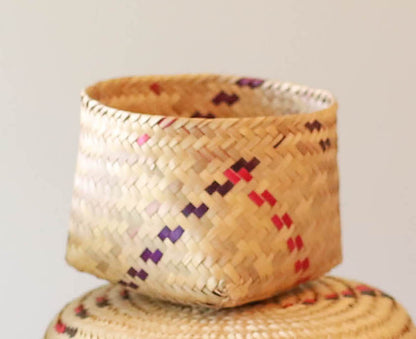 Handwoven Colorful Natural Palm Basket-Planter