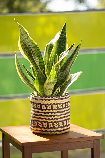 Handwoven Palm Basket-Planter with Lid