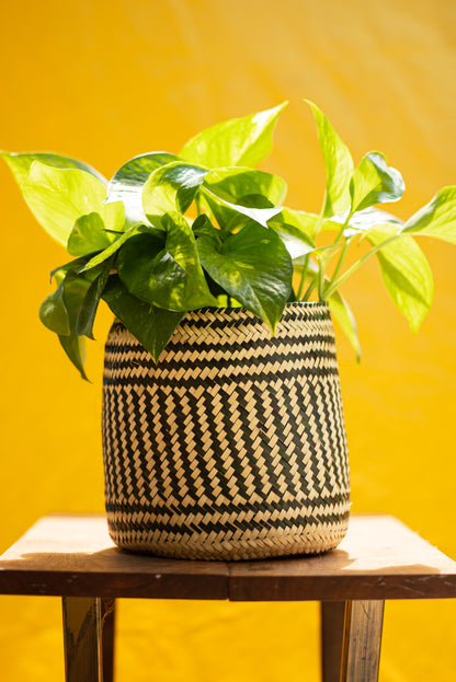 Handwoven Palm Basket-Planter with Lid