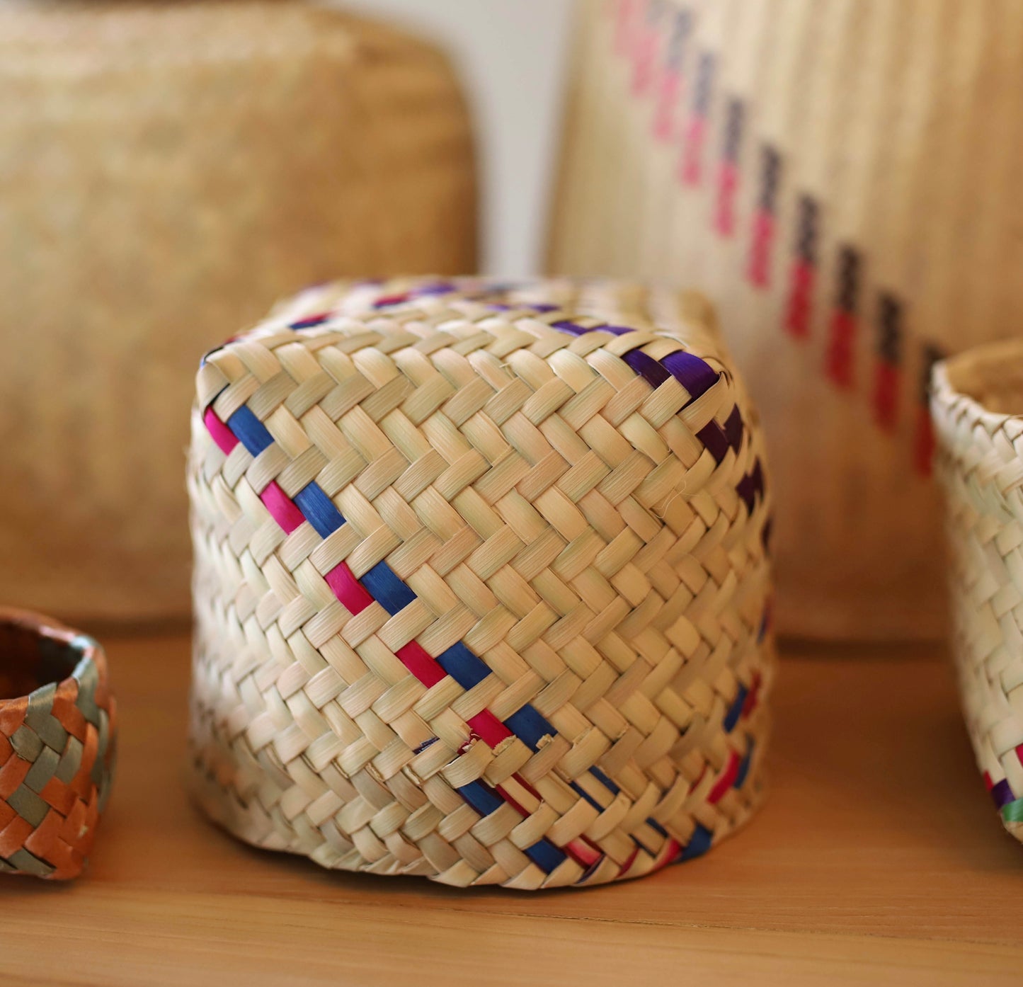 Handwoven Colorful Natural Palm Basket-Planter