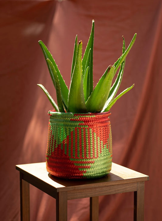 Neon Handwoven Basket-Planter - Medium