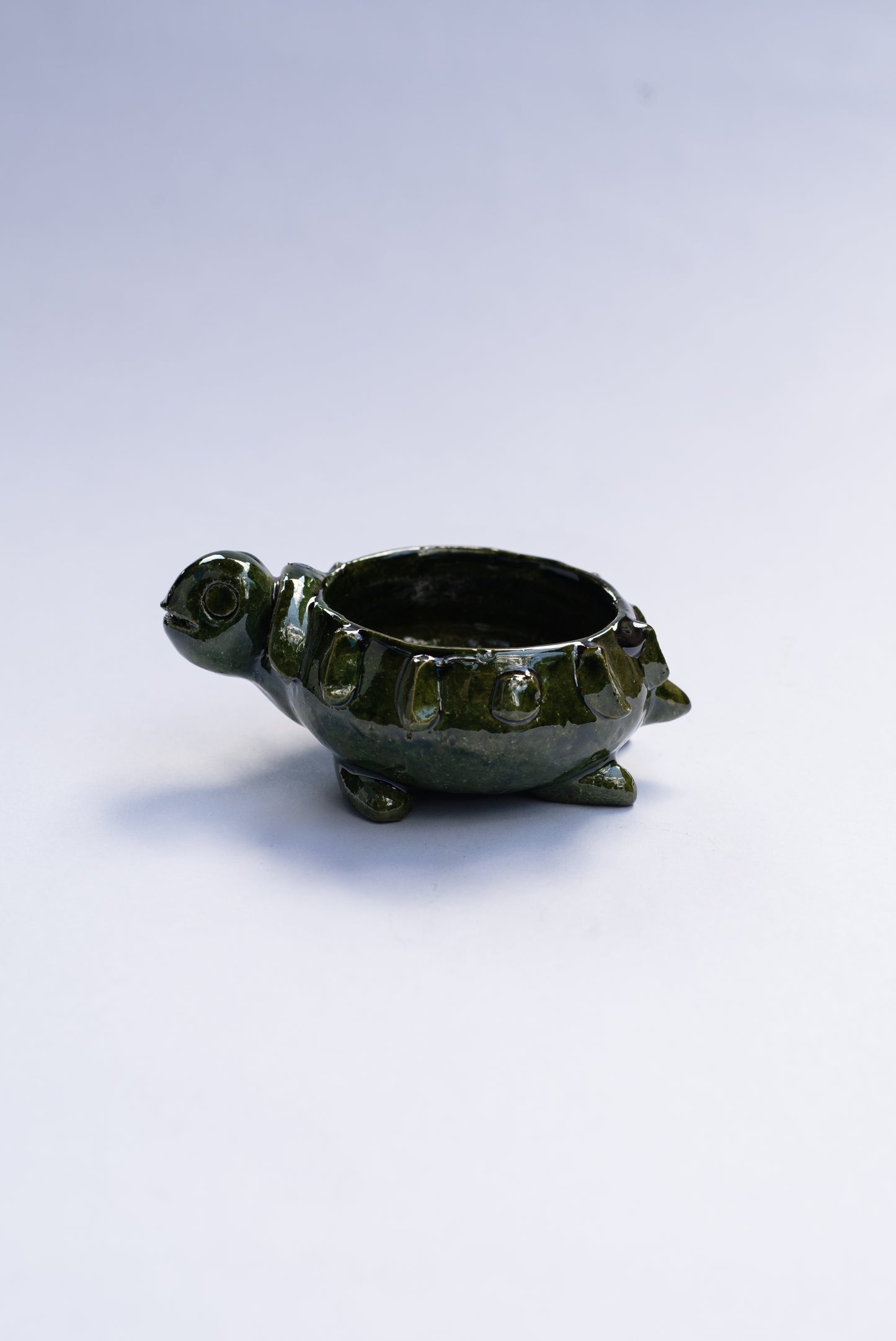 Ceramic Tortuga Catch-All Dish