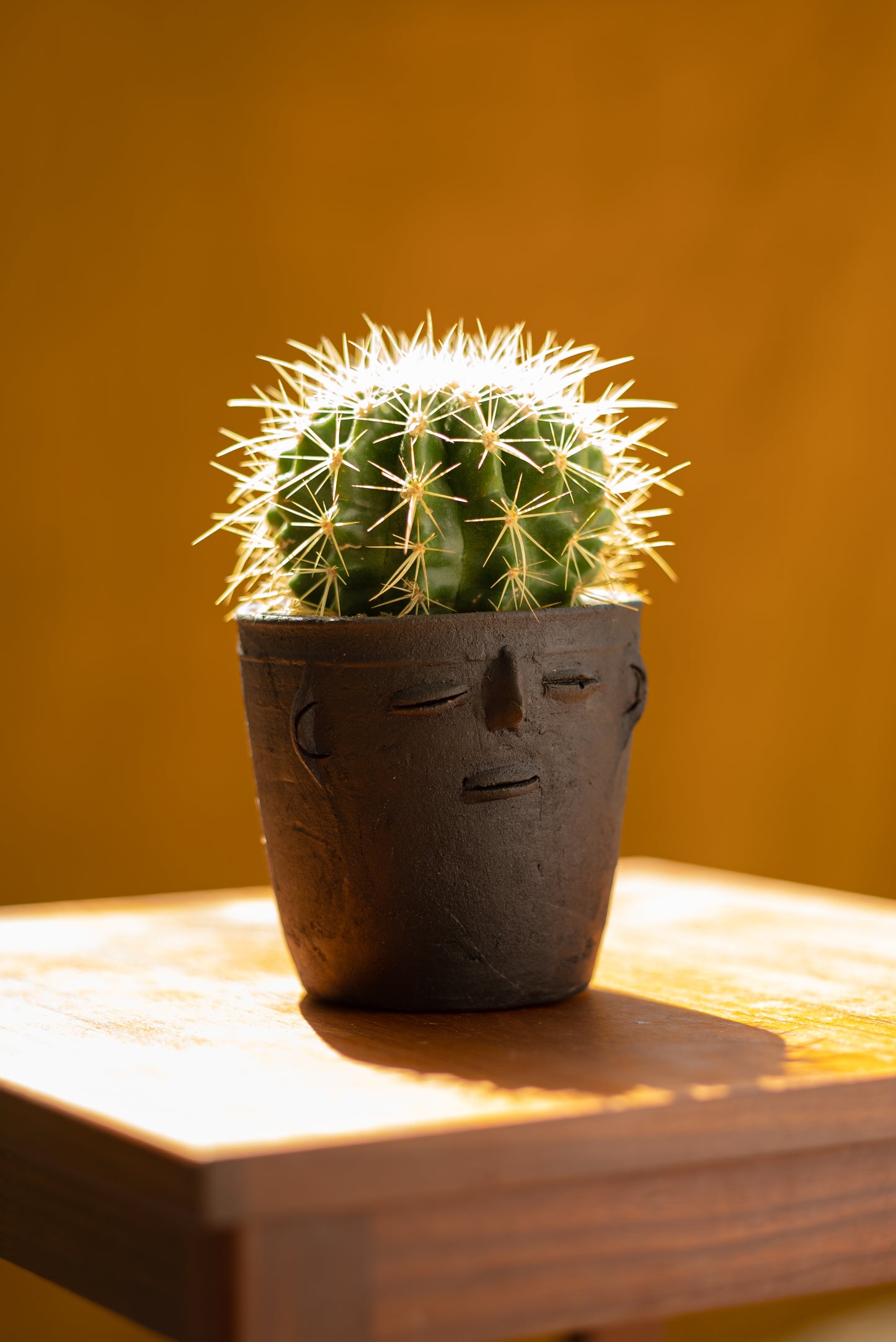 Oaxacan Chillin' Face Planter